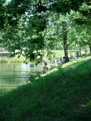L'étang de Nadine et Georges MACARY  pour concours de pêche à Concèze. Etang privé de 1 ha pour la pêche situé a moins d'un km du gîte de Leycuras